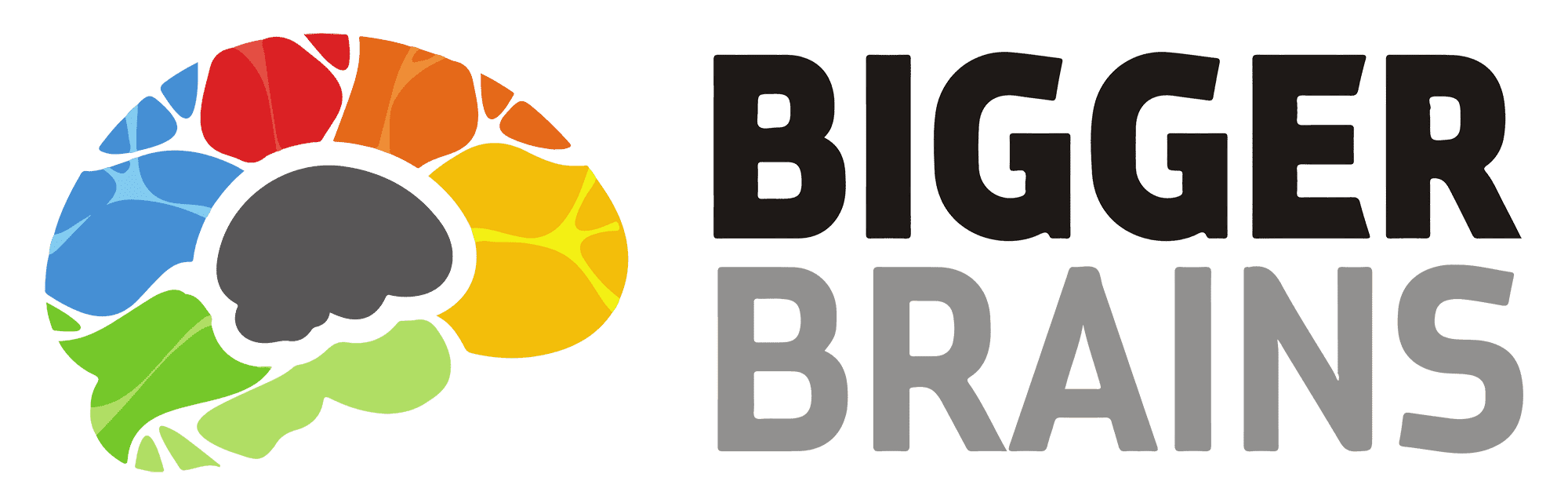 About BiggerBrains
