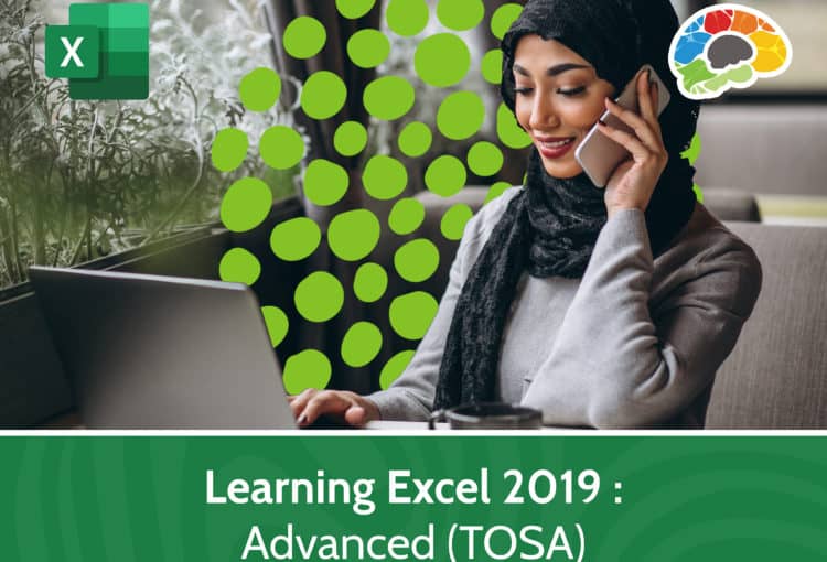 Learning Excel 2019 – Advanced TOSA