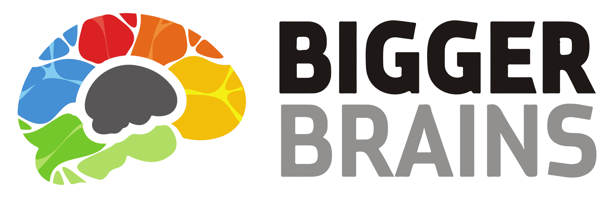 About BiggerBrains