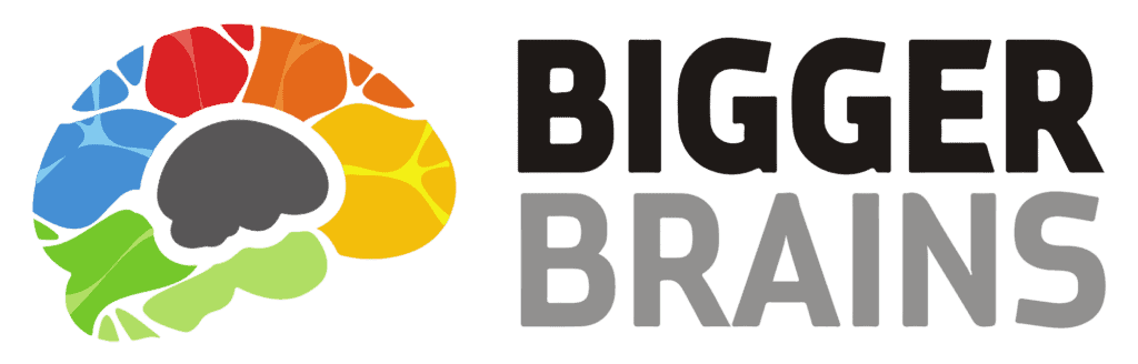 bigger brains logo light background 1