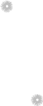 Phase 1 New Proposed Website