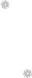 Phase 1 New Proposed Website