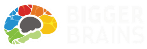 White Primary Bigger Brains Colorful Favicon